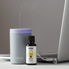 Now Foods Portable USB Ultrasonic Oil Diffuser